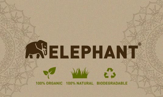 elephant-bio-blogbild